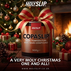 Счастливого Рождества от Molyslip!